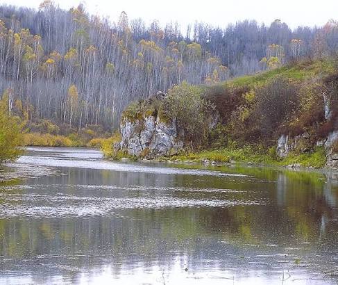 Ельцовка