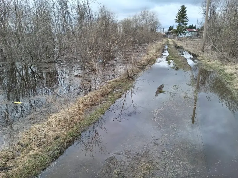 Кыштовка